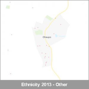 Ethnicity Ohaupo Other ProductImage 2013