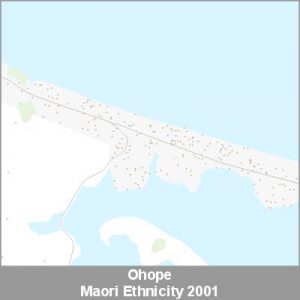 Ethnicity Ohope Maori ProductImage 2001