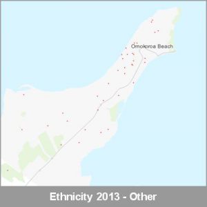 Ethnicity Omokoroa Beach Other ProductImage 2013