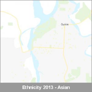 Ethnicity Opotiki Asian ProductImage 2013