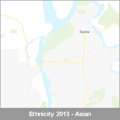 Ethnicity Opotiki Asian ProductImage 2013