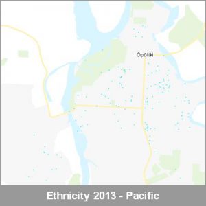 Ethnicity Opotiki Pacific ProductImage 2013