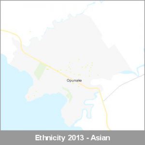 Ethnicity Opunake Asian ProductImage 2013