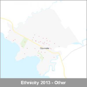 Ethnicity Opunake Other ProductImage 2013