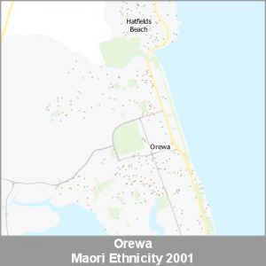 Ethnicity Orewa Maori ProductImage 2001