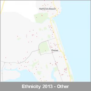 Ethnicity Orewa Other ProductImage 2013