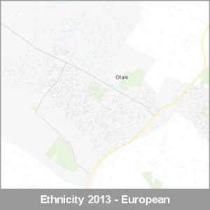 Ethnicity Otaki European ProductImage 2013