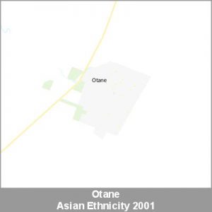 Ethnicity Otane Asian ProductImage 2001