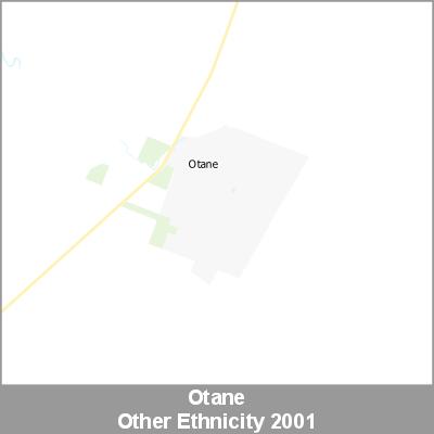 Ethnicity Otane Other ProductImage 2001