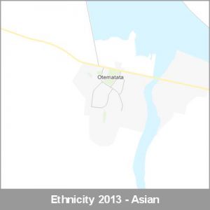 Ethnicity Otematata Asian ProductImage 2013
