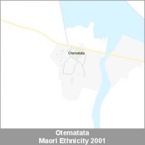 Ethnicity Otematata Maori ProductImage 2001