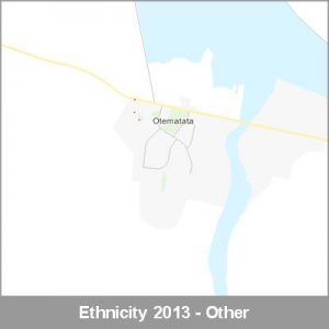 Ethnicity Otematata Other ProductImage 2013