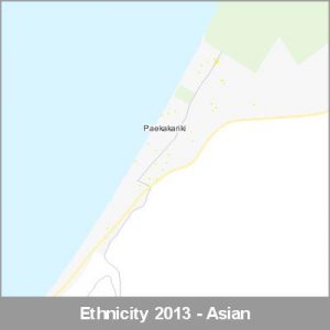Ethnicity Paekakariki Asian ProductImage 2013