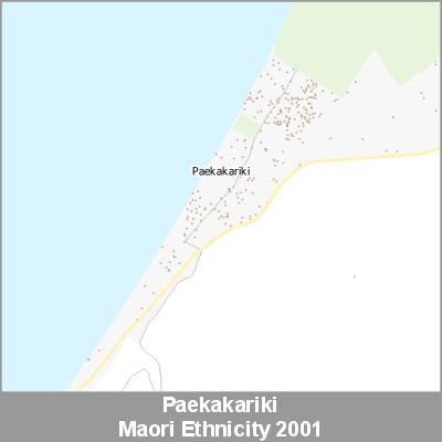 Ethnicity Paekakariki Maori ProductImage 2001