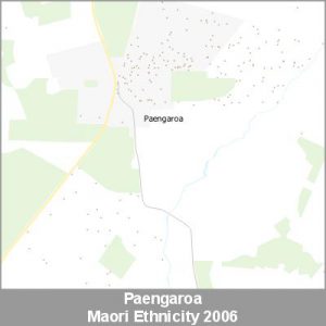 Ethnicity Paengaroa Maori ProductImage 2006
