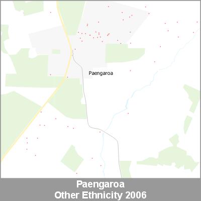 Ethnicity Paengaroa Other ProductImage 2006