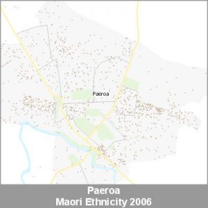 Ethnicity Paeroa Maori ProductImage 2006