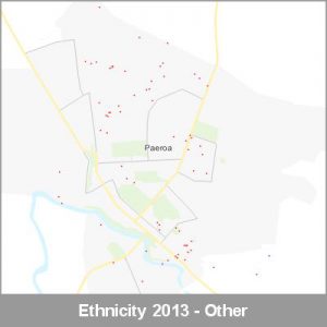 Ethnicity Paeroa Other ProductImage 2013