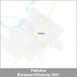 Ethnicity Pahiatua European ProductImage 2001