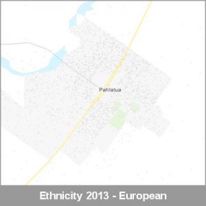 Ethnicity Pahiatua European ProductImage 2013