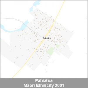 Ethnicity Pahiatua Maori ProductImage 2001
