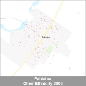 Ethnicity Pahiatua Other ProductImage 2006