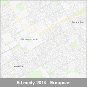 Ethnicity Palmerston North European ProductImage 2013