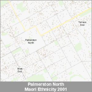 Ethnicity Palmerston North Maori ProductImage 2001