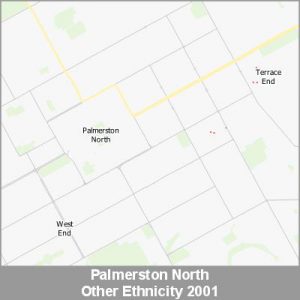 Ethnicity Palmerston North Other ProductImage 2001