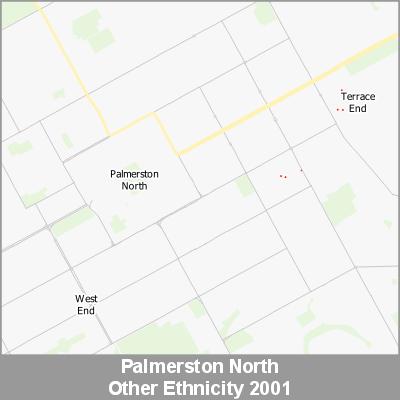 Ethnicity Palmerston North Other ProductImage 2001