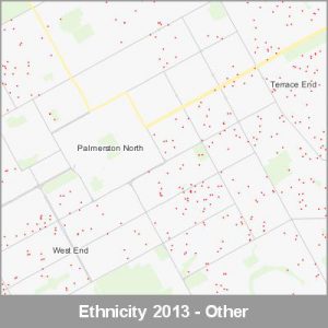 Ethnicity Palmerston North Other ProductImage 2013