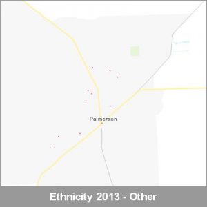 Ethnicity Palmerston Other ProductImage 2013