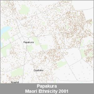 Ethnicity Papakura Maori ProductImage 2001