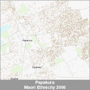 Ethnicity Papakura Maori ProductImage 2006