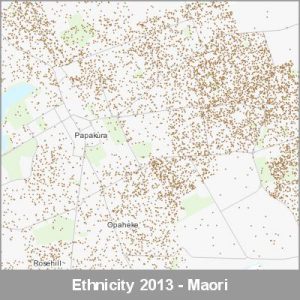 Ethnicity Papakura Maori ProductImage 2013