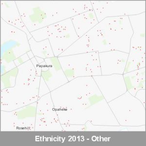 Ethnicity Papakura Other ProductImage 2013