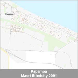 Ethnicity Papamoa Maori ProductImage 2001