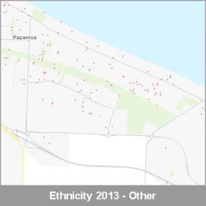 Ethnicity Papamoa Other ProductImage 2013