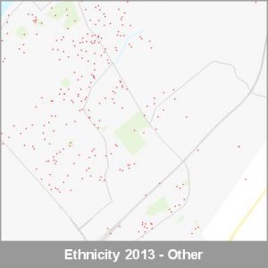 Ethnicity Paraparaumu Other ProductImage 2013