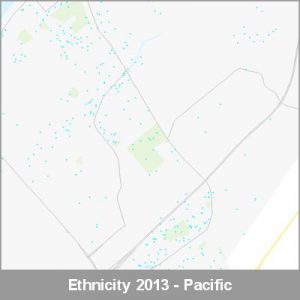 Ethnicity Paraparaumu Pacific ProductImage 2013