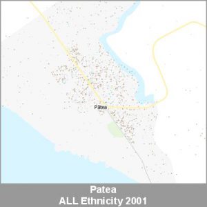 Ethnicity Patea ALL ProductImage 2001