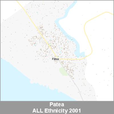 Ethnicity Patea ALL ProductImage 2001