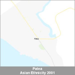Ethnicity Patea Asian ProductImage 2001