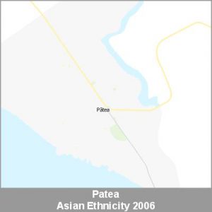 Ethnicity Patea Asian ProductImage 2006