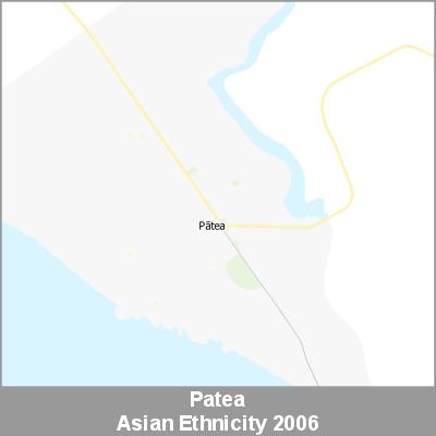 Ethnicity Patea Asian ProductImage 2006