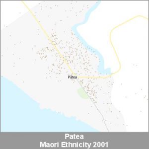 Ethnicity Patea Maori ProductImage 2001