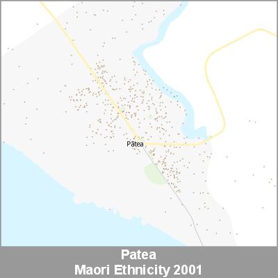 Ethnicity Patea Maori ProductImage 2001