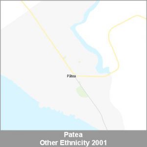 Ethnicity Patea Other ProductImage 2001