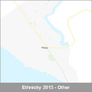 Ethnicity Patea Other ProductImage 2013