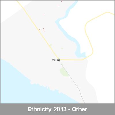 Ethnicity Patea Other ProductImage 2013